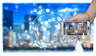 开云官网-高校运动训练数据智能分析技术，高校运动项目的训练设置